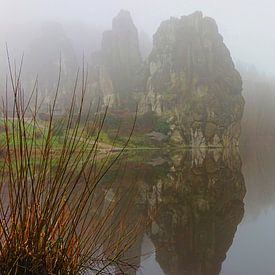Rive brumeuse sur Naturfotografie Harald Reinl