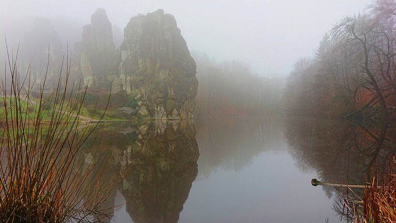 Rive brumeuse par Naturfotografie Harald Reinl