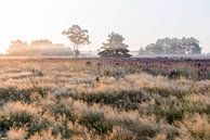 Heidnische Landschaft von Nancy Lamers Miniaturansicht