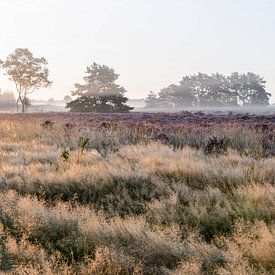 Heidnische Landschaft von Nancy Lamers