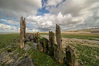 Cloudy Moddergat