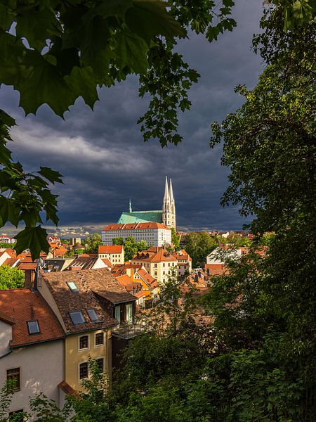 Uitzicht over de stad Görlitz naar de Sint-Pieterskerk van Rico Ködder