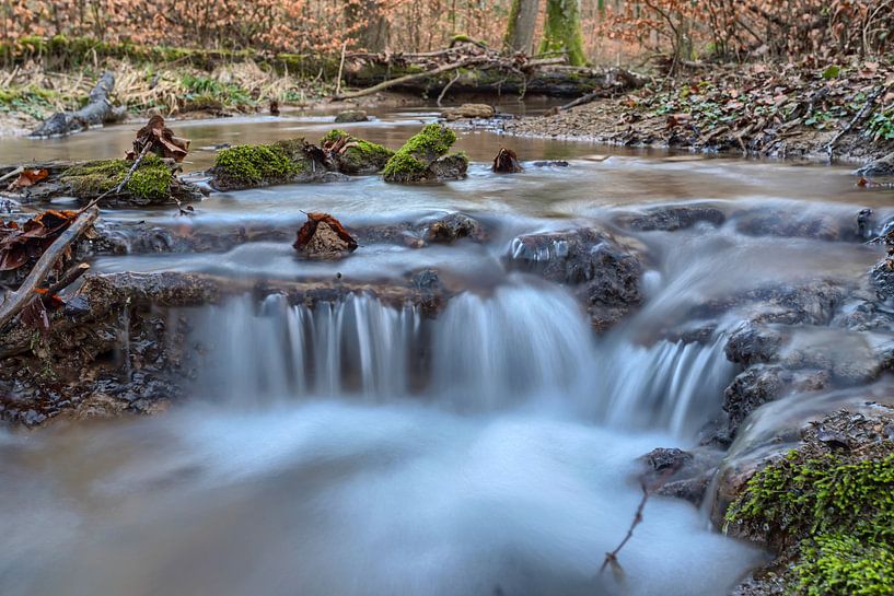 Torrent in the forest by Uwe Ulrich Grün