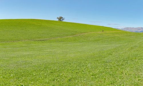 Seiser Alm, Seis am Schlern, Südtirol - Alto Adige, Italië