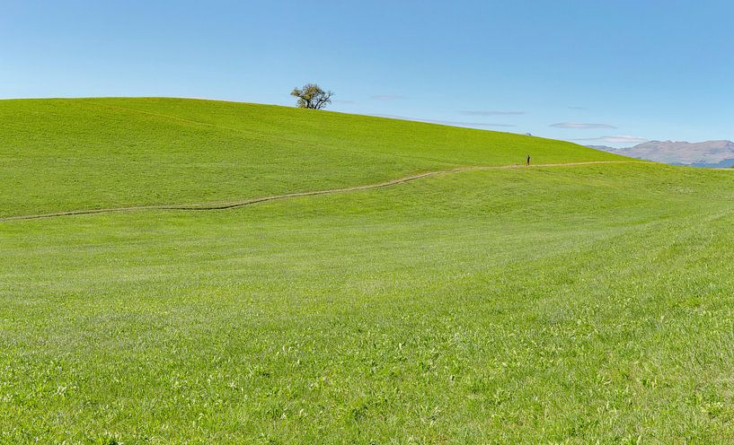 Seiser Alm, Seis am Schlern, Südtirol - Alto Adige, Italien von Rene van der Meer