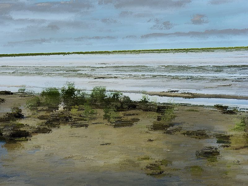 Natuur roept. (Nationaal Park Lauwersmeer.) van SydWyn Art