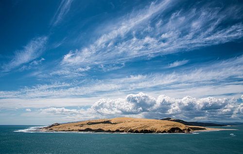Uitzicht van Arai-Te-Uru wandelroute