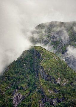 Ochtend bergmist, Noorwegen van qtx