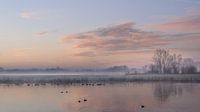 Winterochtend