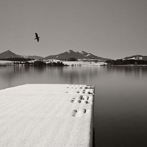 Alpensee