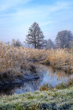 Idyllisch winterlandschap bij de rivier de Paar van ManfredFotos
