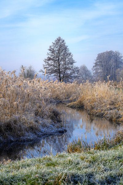 Idyllic winter landscape by the Paar river by ManfredFotos