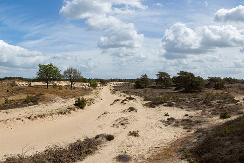 De Kale Duinen, Aekingerzand dans la région de Drents-Friese Wold