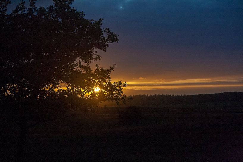 Zon zakt achter de boom by Mark Balster