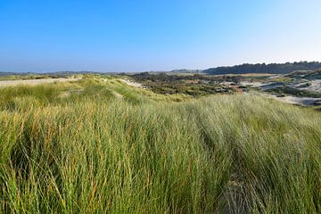 Hügelige Dünenlandschaft mit Strandhafer im Vordergrund von Studio LE-gals