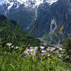 Het leven in de Zwitserse bergen op een zomerse dag von Mirjam Rood-Bookelman