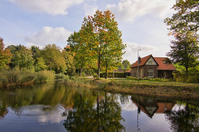Autumn in Griendtsveen by Charlene van Koesveld