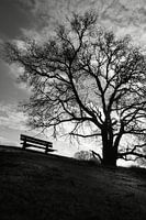 Be Seated