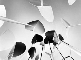 Harten by Tanja de Boer