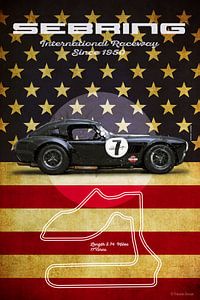 Sebring Black Cobra Vintage