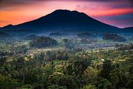 Agung vulkaan en rijstvelden bij zonsopgang, Bali van Bart Hageman Photography thumbnail