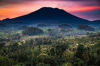 Volcan Agung et rizières au lever du soleil, Bali