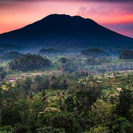 Agung vulkaan en rijstvelden bij zonsopgang, Bali van Bart Hageman Photography