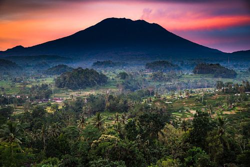 Agung vulkaan en rijstvelden bij zonsopgang, Bali