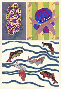 Émile-Allain Séguy - Floréal; neue Designs & Farben