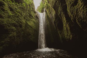 Nauthúsagil-Wasserfall, Island von Fenna Duin-Huizing