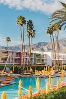 Palm Springs Saguaro