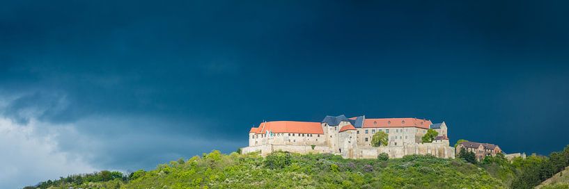Neuenburg Castle Panorama by Martin Wasilewski