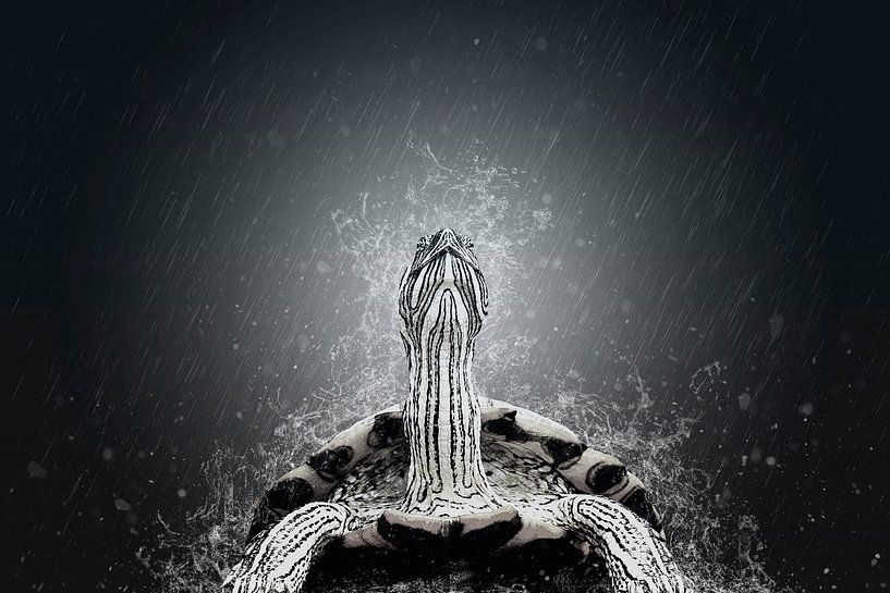 La tête en l'air by Catherine Fortin