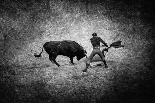 Stierengevecht Torero en Stier in zwart-wit
