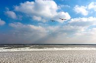 Bevroren IJsselmeer par Paul van Baardwijk Aperçu