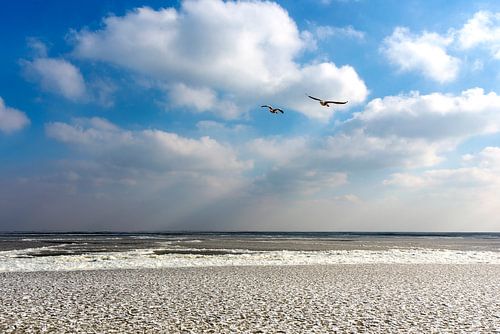Bevroren IJsselmeer