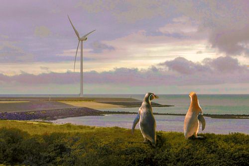 Pinguine am Strand bei der Beratung.