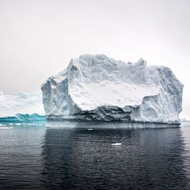 Antarctica 3 van Arjan Blok