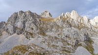 Bobotov Kuk piek in de bergen van Durmitor Nationaal Park (Montenegro) van Jessica Lokker thumbnail