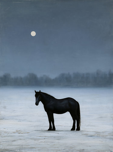 Zwart paard onder een stille wintermaan