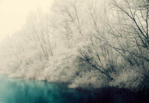 Something to cool off