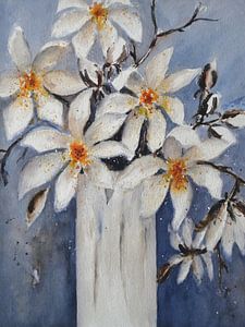 Sternmagnolie