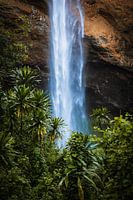La puissance des chutes de Sipi en Ouganda
