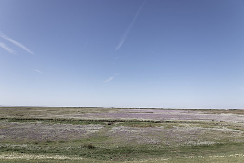 Pictures of Spiekeroog, an East Frisian island in the North Sea.