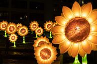 Zonnebloemen van Van Gogh van Jasper Scheffers thumbnail