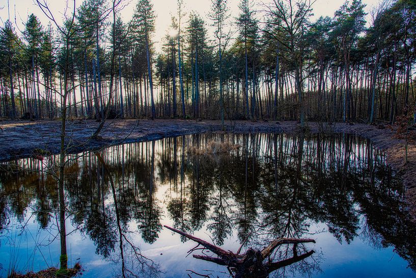 Reflexion von jacky weckx