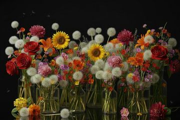 Colourful Flowers on Black Background