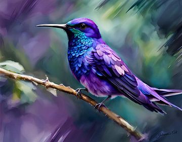 Schöne Vögel der Welt - Violetter Säbelzahnvogel von Johanna's Art
