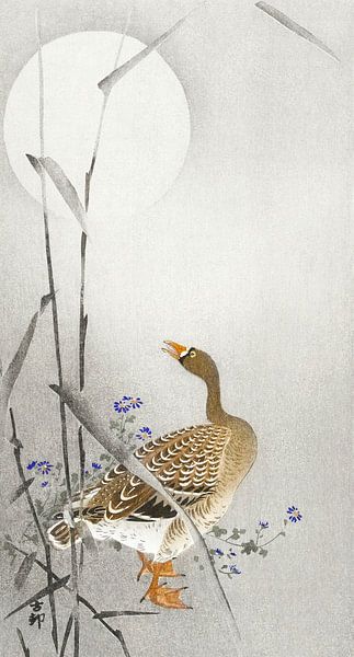 Goose at full moon (1900 - 1936) by Ohara Koson van Studio POPPY