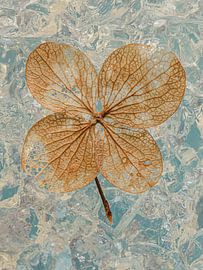 A hydrangea leaf by Marjolijn van den Berg